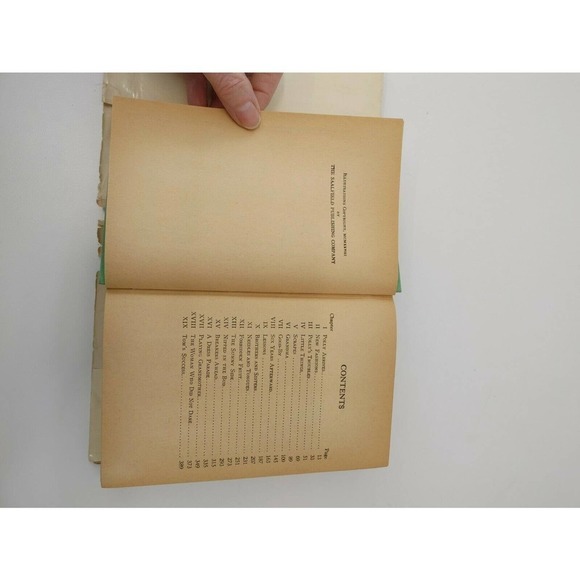 An Old-Fashioned Girl Louisa Alcott- Brundage 1928 - Picture 9 of 11